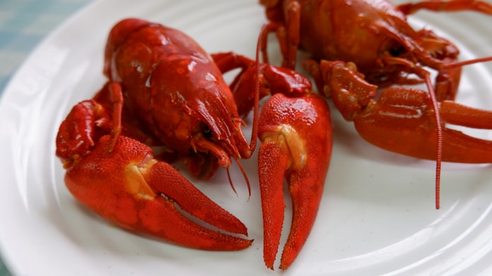 ザリガニが期待の星に 阿寒湖の レイクロブスター 日本経済新聞 ザリガニが期待の星に 阿寒湖の レイクロブスター 日本経済新聞