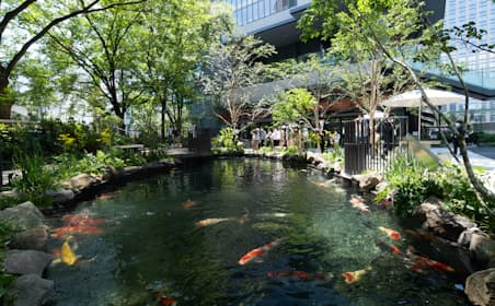 地方の魅力を発信するトウキョウトーチ。広場内の鑑賞池には新潟県小千谷市の錦鯉が泳ぐ
