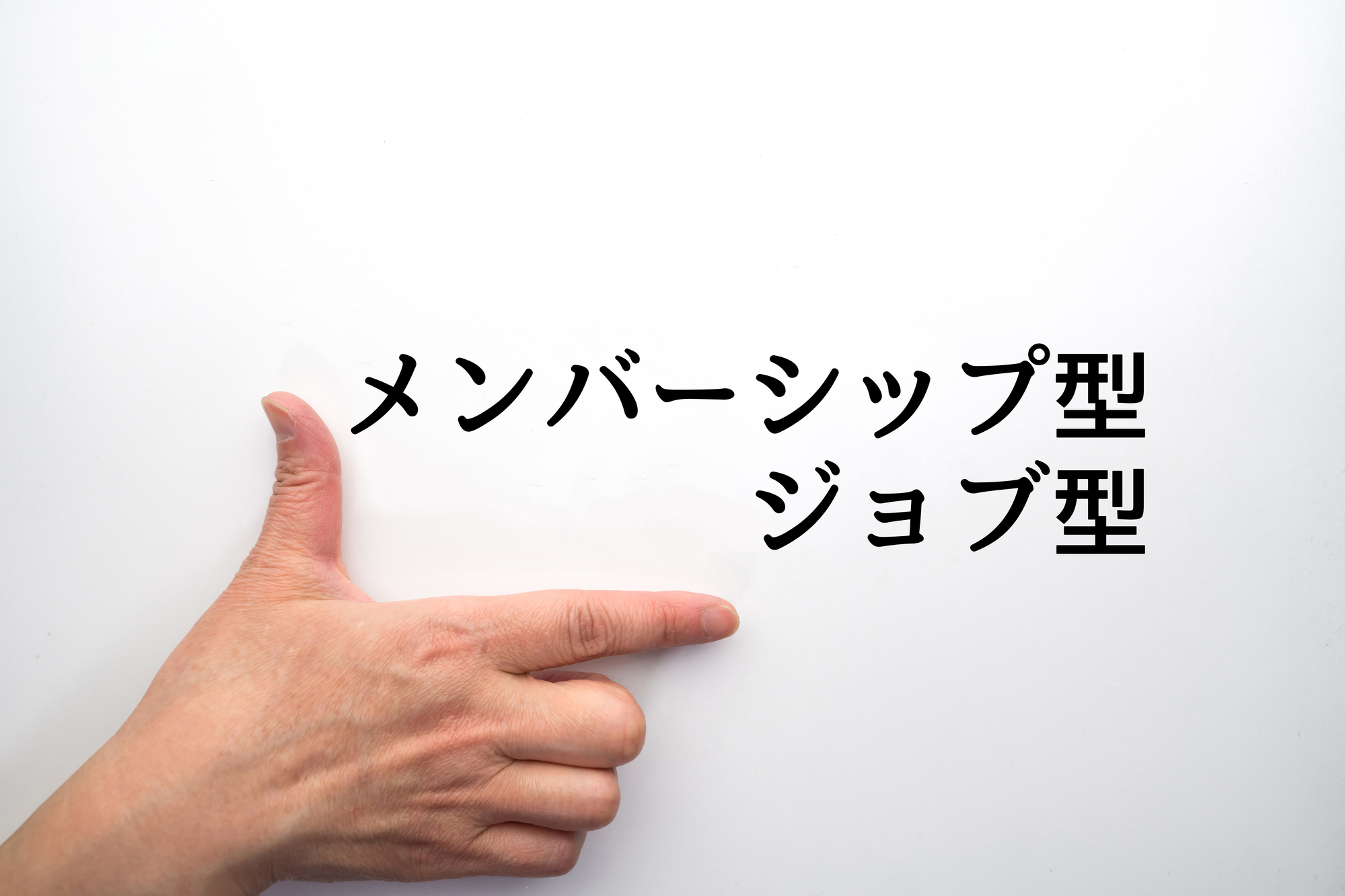 大手企業を中心にジョブ型雇用への転換を検討する企業が増えている(写真はイメージ=PIXTA)