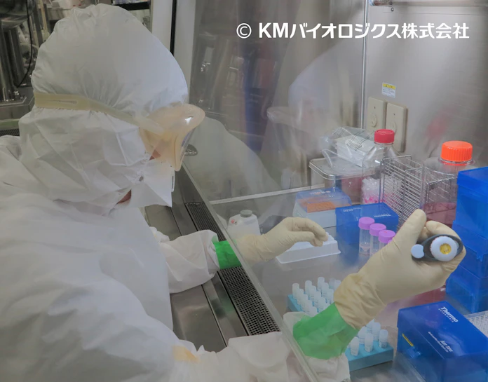 新型コロナ Kmバイオ コロナワクチン治験の中期開始 2000人対象 日本経済新聞