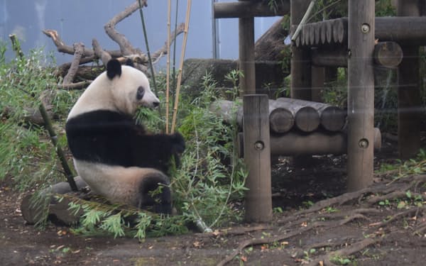 上野動物園はジャイアントパンダの展示場所など見どころを紹介するデジタルマップを配信している（10月９日撮影）