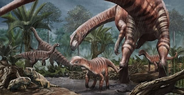 恐竜は群れたから繁栄できた 新発見の初期化石が示す Nikkei Style 恐竜は群れたから繁栄できた 新発見の初期化石が示す Nikkei Style