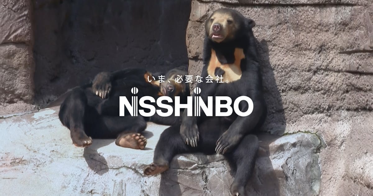 ニッシンボー のcm 事業より社名認知 社長に聞く 日本経済新聞 ニッシンボー のcm 事業より社名認知 社長に聞く 日本経済新聞
