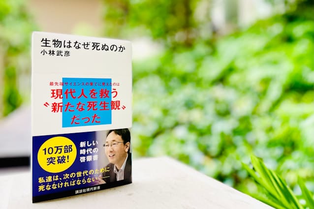 生物の死を科学的に検証 ヒトの死生観に新たな視点 Nikkei Style 生物の死を科学的に検証 ヒトの死生観に新たな視点 Nikkei Style