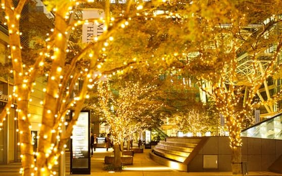 東京ミッドタウンでは敷地内の木々がイルミネーションで彩られる（過去の様子）