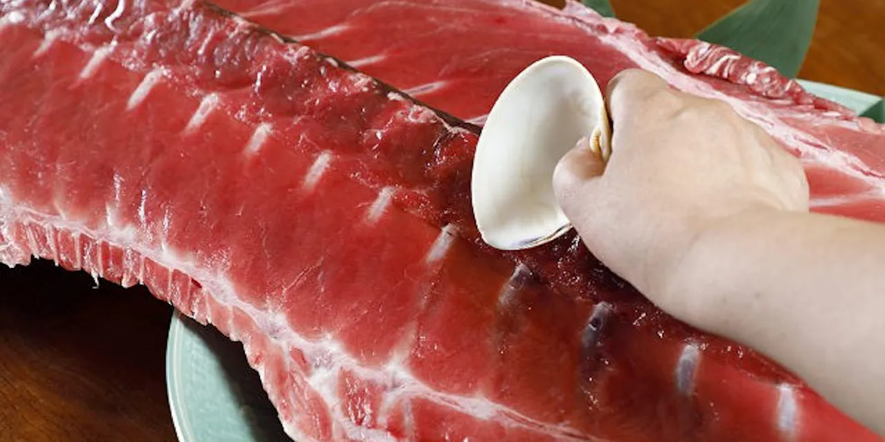 豪快 貝がらで食べる天然本マグロ中落ち 東京 築地 Nikkei Style 豪快 貝がらで食べる天然本マグロ中落ち 東京 築地 Nikkei Style