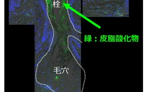 群馬大学発のグッドアイ 入浴剤をファミマで販売開始 日本経済新聞 群馬大学発のグッドアイ 入浴剤をファミマで販売開始 日本経済新聞