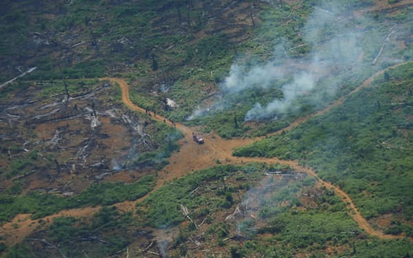 世界では気候変動の影響などで森林火災が増えている＝ロイター