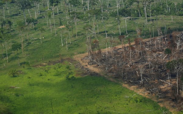 南米などで温暖化ガスを吸収する森林の破壊が進む=ロイター