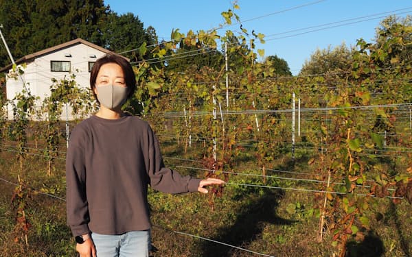 山崎さんが2021年に植えたカベルネ・フランは順調に育っている。後方は倉庫を改装したワイナリー（那須塩原市）