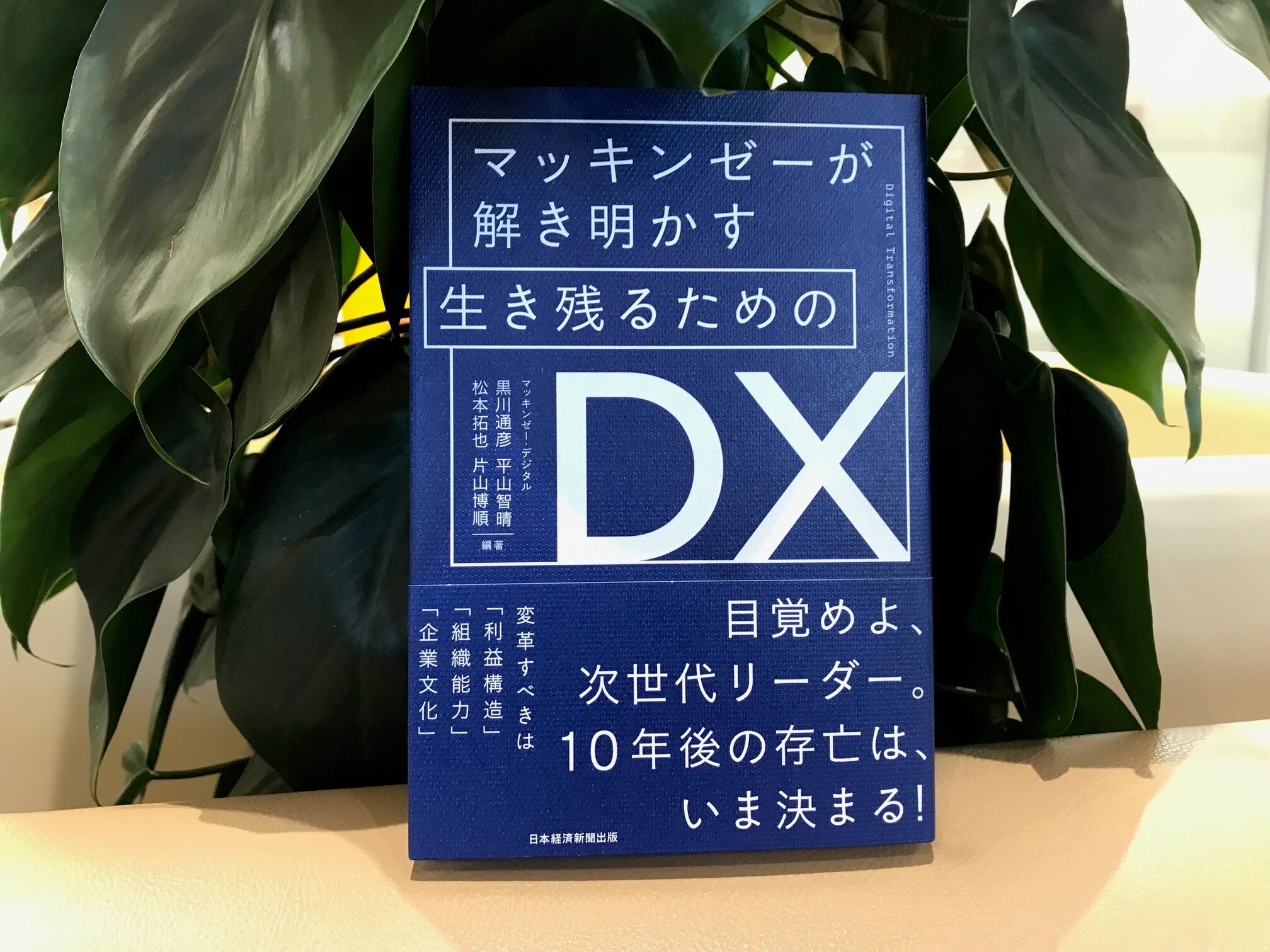 DXを成功に導くには企業の組織文化の変革が必要だ