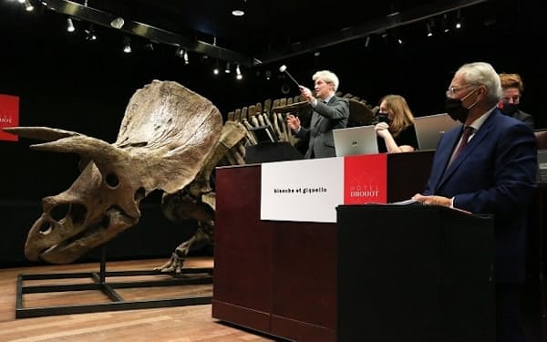 「ビッグジョン」の通称で知られるトリケラトプスの化石の競売を監視する競売人のアレクサンドレ・ジクエロ氏。2021年10月21日、ビッグジョンは匿名の米国人に手数料込み770万ドル（約8億7000万円）で売却された（PHOTOGRAPH BY MICHEL STOUPAK, NURPHOTO VIA GETTY IMAGES）
