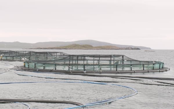 ウフルがIoTで効率化を目指す海面養殖施設（英北部スコットランド）
