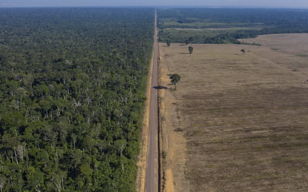 ブラジルは違法伐採の根絶に取り組む姿勢を強調しているが、足元では森林破壊が進んでいる=AP