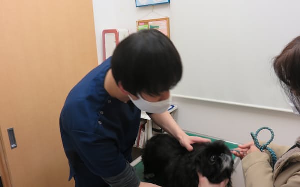 Withmalは事業承継に悩む動物病院を次々と傘下に収めた(東京都羽村市にあるグループの動物病院)