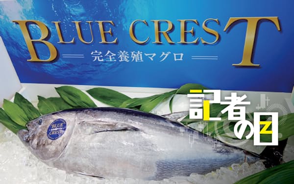 マルハニチロ 10年ぶりの遠洋漁業船 竣工 高級魚 メロ 漁獲 日本経済新聞 マルハニチロ 10年ぶりの遠洋漁業船 竣工 高級魚 メロ 漁獲 日本経済新聞
