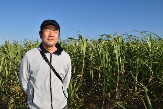 房総の耕作放棄地でサトウキビ育てラム酒 三瓶幸雄さん 日本経済新聞 房総の耕作放棄地でサトウキビ育てラム酒 三瓶幸雄さん 日本経済新聞