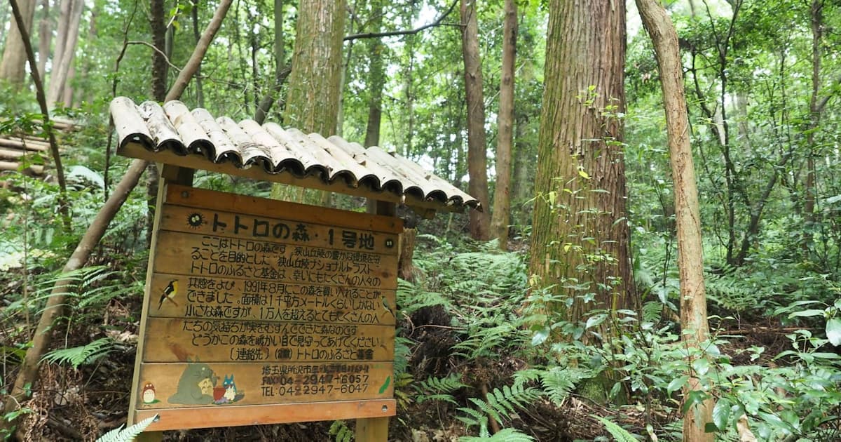 狭山丘陵 トトロの森 人材不足と収入減で管理に苦心 日本経済新聞 狭山丘陵 トトロの森 人材不足と収入減で管理に苦心 日本経済新聞