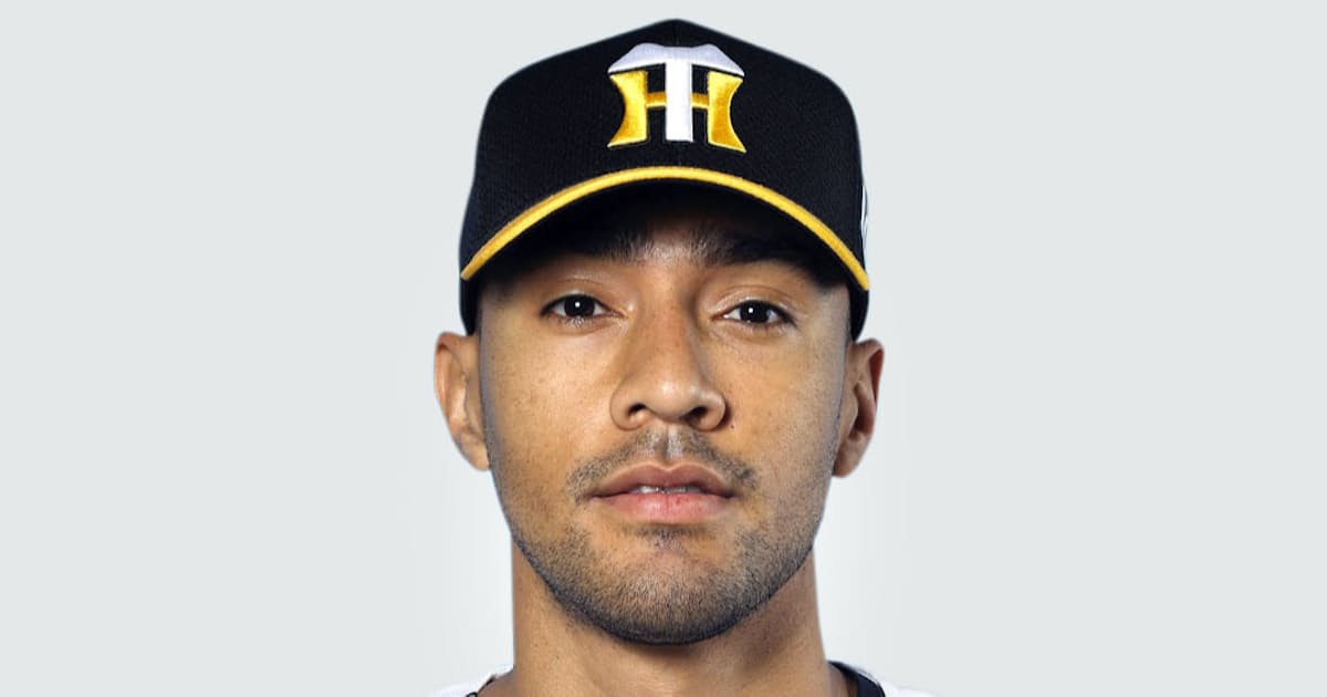 阪神スアレスが退団へ 2年連続セーブ王 Mlbに挑戦 日本経済新聞 阪神スアレスが退団へ 2年連続セーブ王 Mlbに挑戦 日本経済新聞