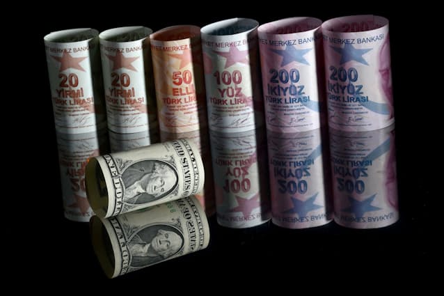 トルコ中銀 異例の直接介入 リラ一時反発も持続不透明 日本経済新聞 トルコ中銀 異例の直接介入 リラ一時反発も持続不透明 日本経済新聞