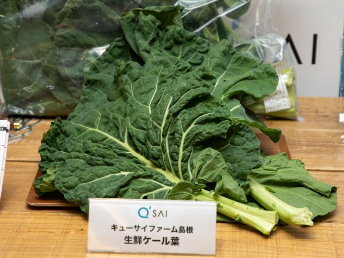 キューサイ 青汁原料のケール葉販売 自社栽培品 日本経済新聞 キューサイ 青汁原料のケール葉販売 自社栽培品 日本経済新聞