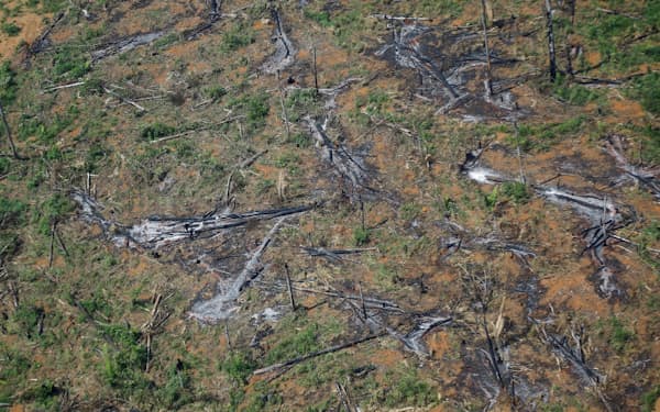 南米のアマゾンでは森林減少が進む＝ロイター