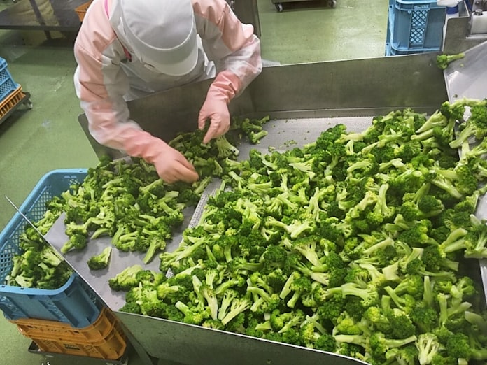 農家も廃棄ゼロに オイシックス 規格外野菜を商品化 日本経済新聞 農家も廃棄ゼロに オイシックス 規格外野菜を商品化 日本経済新聞