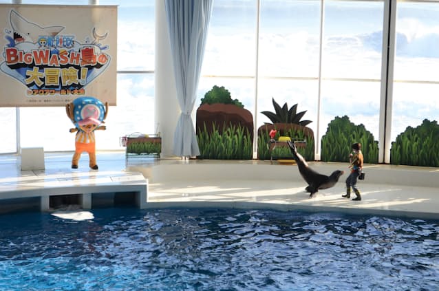 茨城のアクアワールド ワンピース コラボ企画 日本経済新聞 茨城のアクアワールド ワンピース コラボ企画 日本経済新聞