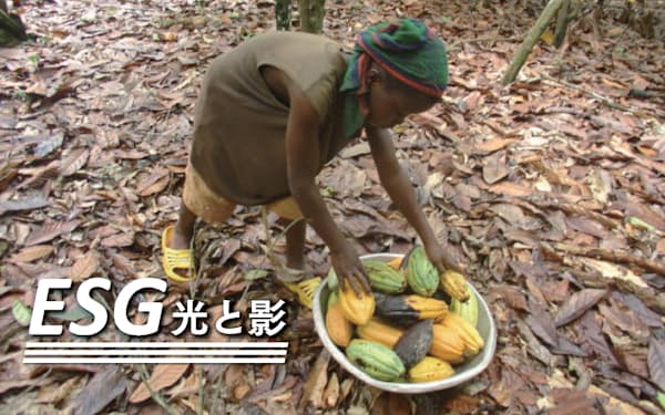 児童労働問題に懲罰的なESG対応は非効果的との指摘がある(ガーナのカカオ農園、ACE提供)