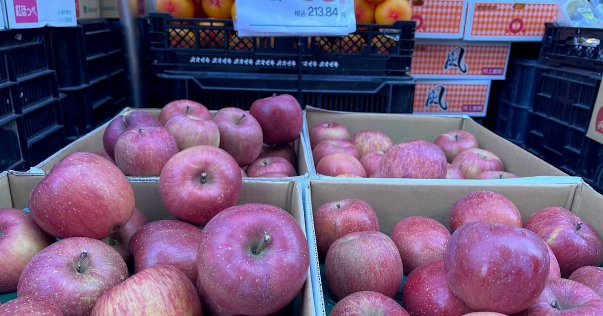 リンゴ卸値 過去最高 青森など天候不順で3割高 日本経済新聞
