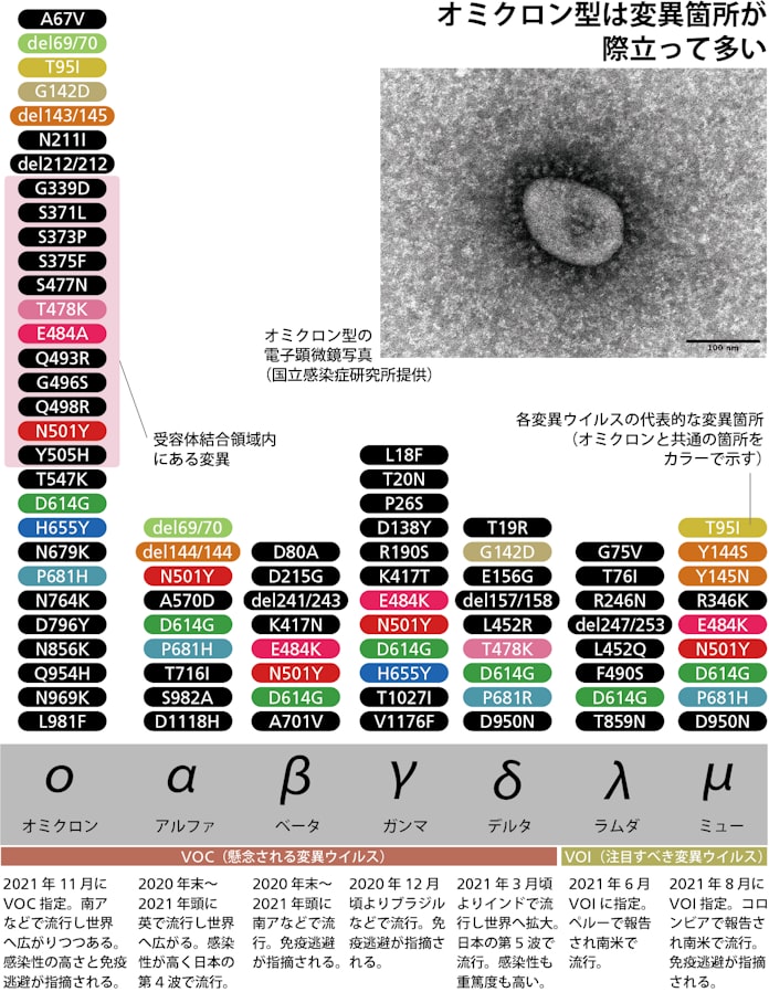 新型コロナ まずい変異がてんこ盛り オミクロン型出現のわけ 日本経済新聞 新型コロナ まずい変異がてんこ盛り オミクロン型出現のわけ 日本経済新聞