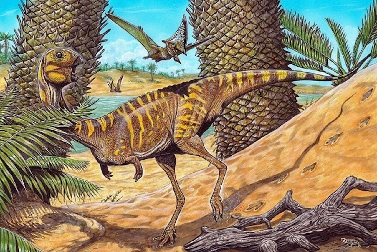 歯のない恐竜ベルタサウラ・レオポルディナエ。約8000万～7000万年前、砂漠環境だったブラジル南部に暮らしていた（ILLUSTRATION BY MAURILIO OLIVEIRA）
