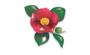 日本経済新聞 日本経済新聞