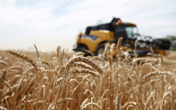 小麦の需給が逼迫するなか、ロシアの動向が注目される＝ロイター