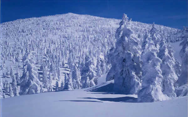 函館山のロープウエーで事故 従業員死亡 観光客一時足止め 日本経済新聞 函館山のロープウエーで事故 従業員死亡 観光客一時足止め 日本経済新聞