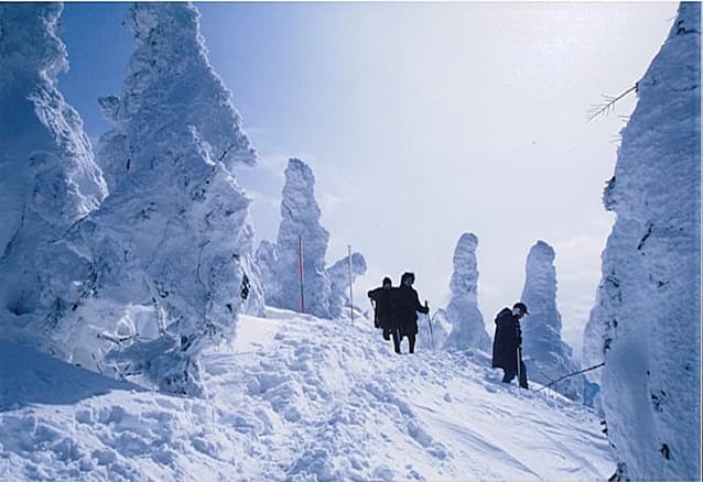 秋田内陸線 森吉山の樹氷観賞で列車増発 22年1 2月 日本経済新聞 秋田内陸線 森吉山の樹氷観賞で列車増発 22年1 2月 日本経済新聞