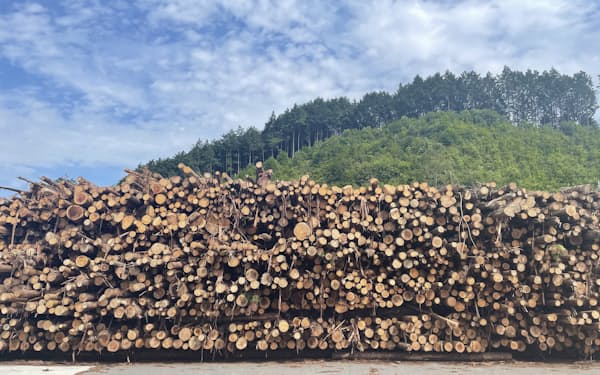 岡山県真庭市は森林資源を活用したバイオマス発電事業に力を入れる