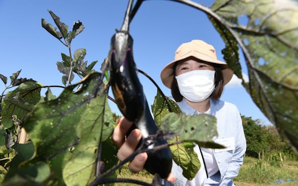 パソナ日本創生大学校が各企業の女性幹部候補生向けに行う研修。野菜や土に触れるフィールドワークを通じて、持続可能な農業についても学ぶ（兵庫県淡路市）