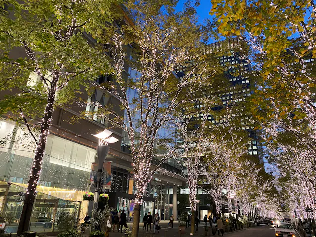 イルミネーション スマホで撮影 ピンボケ防ぐコツは Nikkei Style イルミネーション スマホで撮影 ピンボケ防ぐコツは Nikkei Style