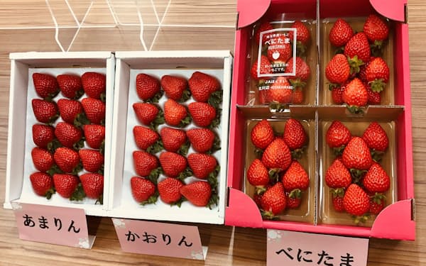 埼玉県のイチゴ新品種「べにたま」㊨と一足先に品種登録された「あまりん」「かおりん」
