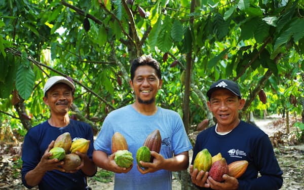 ダリケーはインドネシアの契約農家から直接カカオ豆を買い付ける