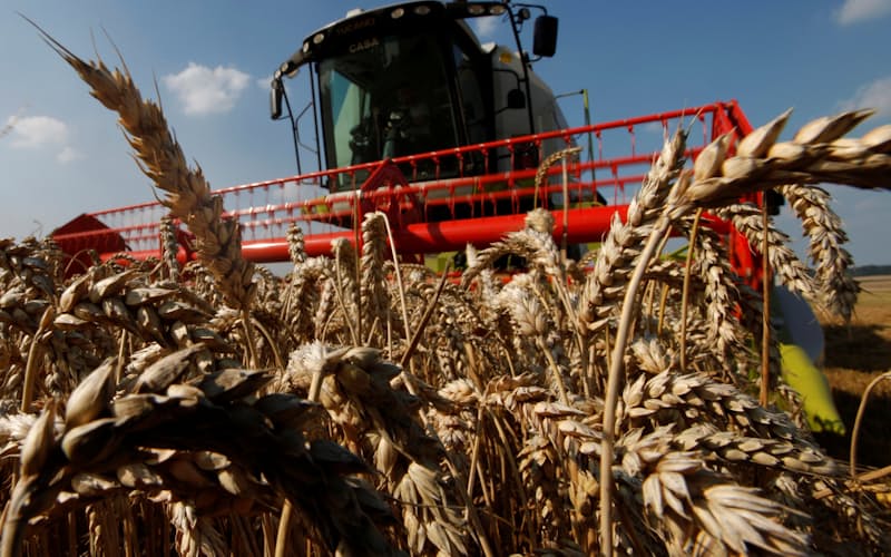 FILE PHOTO: A French farmer sits in his combine as he harvests his wheat crop in Bugnicourt, northern France, August 9, 2012.  REUTERS/Pascal Rossignol/File Photo