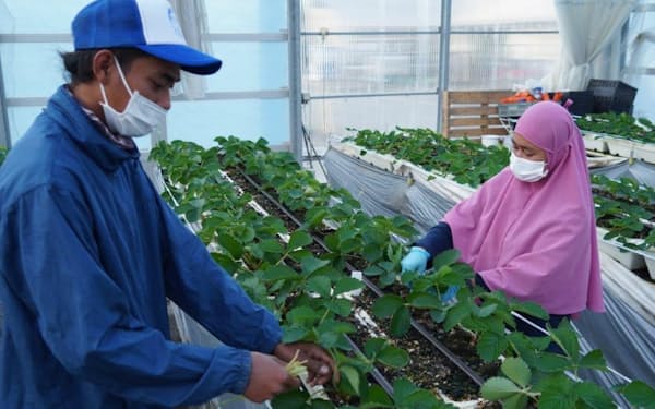 アツミ・シーサイドフローラルで働く実習生