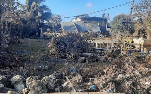 津波後のトンガのヌクアロファ。なぎ倒された樹木などがみえる＝マリアン・クプ氏撮影・Broadcom Broadcasting提供