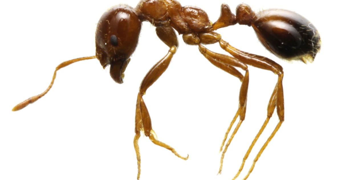 Lqcssnywd5r6sm Lqcssnywd5r6sm