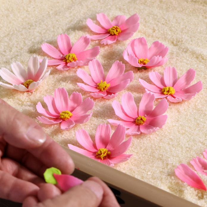 関西の菓子 光る職人技 鮮やかな 花弁 や金平糖 日本経済新聞 関西の菓子 光る職人技 鮮やかな 花弁 や金平糖 日本経済新聞