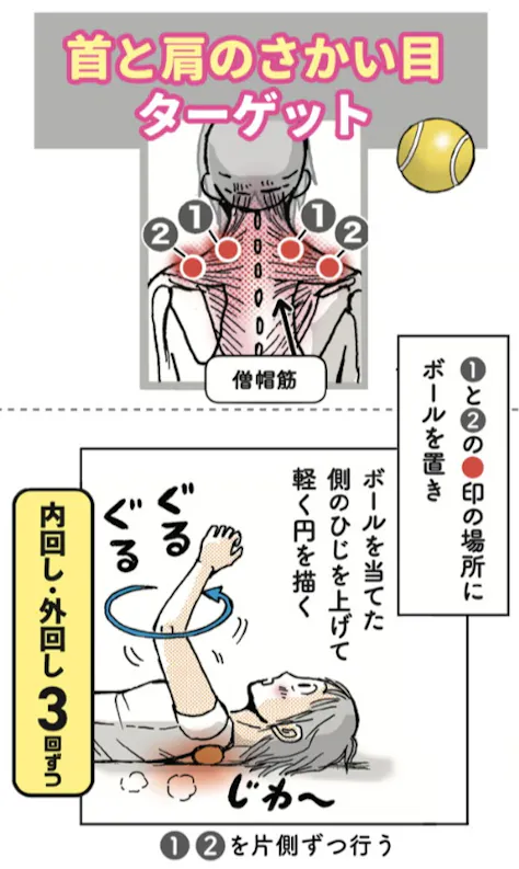 ひじをぐるぐる回すとどんどんほぐれる テニスボールで背中ほぐし 整筋 して腰 Nikkei Style ひじをぐるぐる回すとどんどんほぐれる テニスボールで背中ほぐし 整筋 して腰 Nikkei Style
