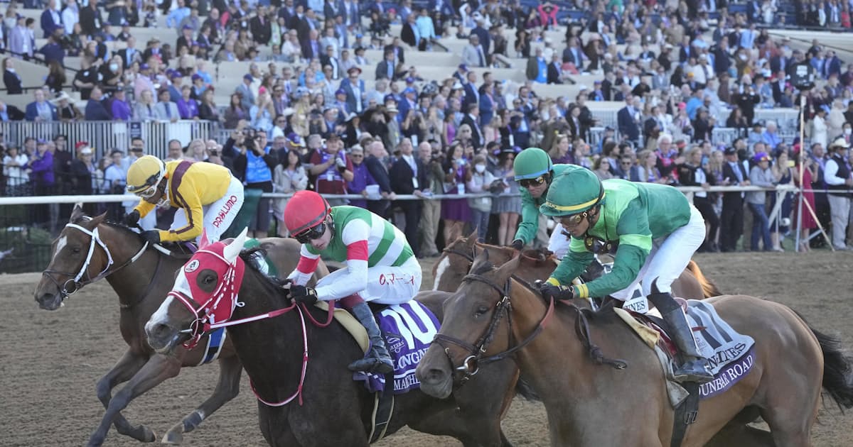 Jra賞の年度代表馬 296分の1 に投票した理由 日本経済新聞 Jra賞の年度代表馬 296分の1 に投票した理由 日本経済新聞