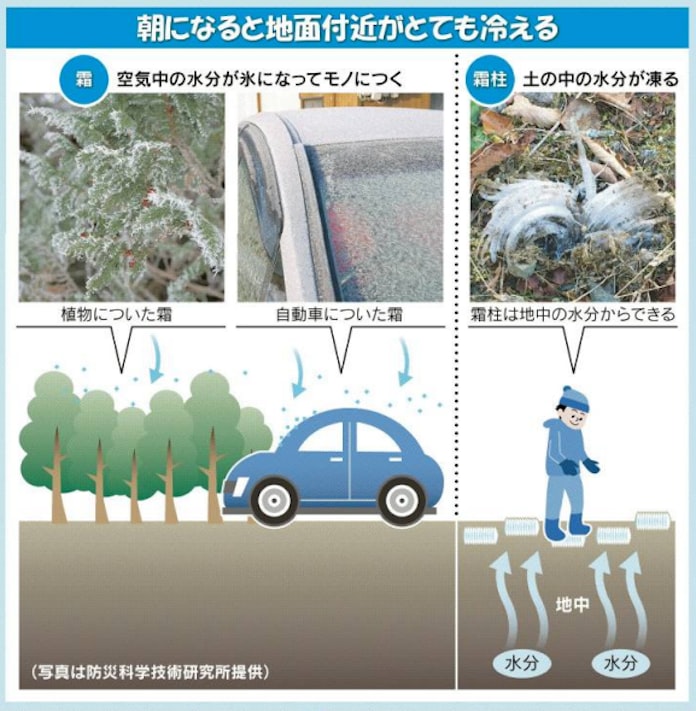 晴れたのになぜ霜ができる 地表の熱が逃げるからだよ 日本経済新聞 晴れたのになぜ霜ができる 地表の熱が逃げるからだよ 日本経済新聞