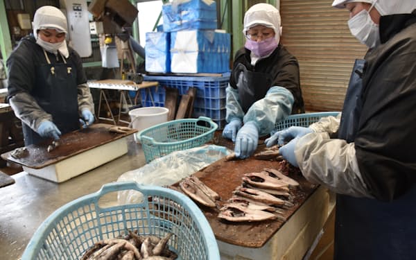 メヒカリをさばく上野台豊商店の従業員（１月、福島県いわき市）